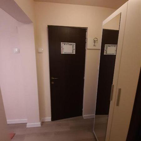 Hotel Casa Flamingo Craiova Exteriér fotografie
