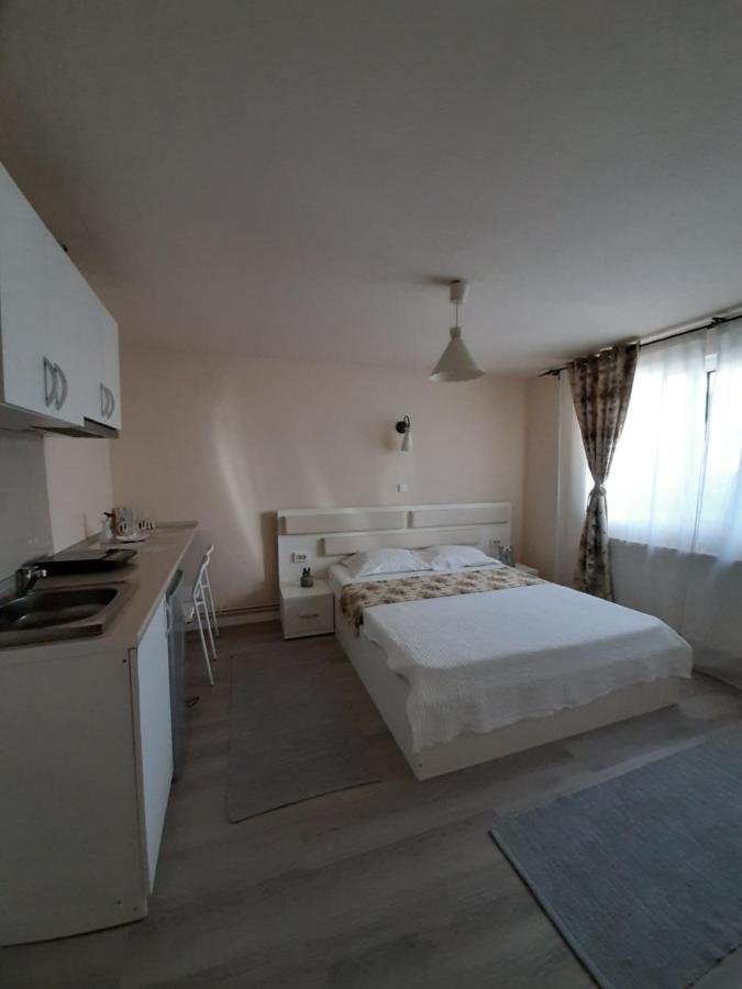Hotel Casa Flamingo Craiova Exteriér fotografie