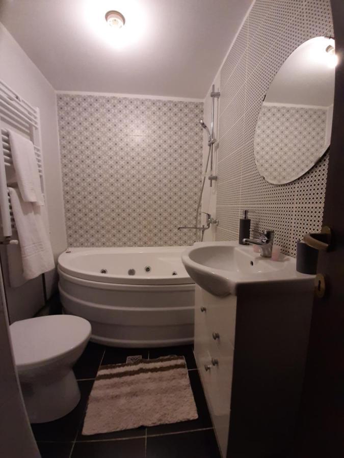 Hotel Casa Flamingo Craiova Exteriér fotografie
