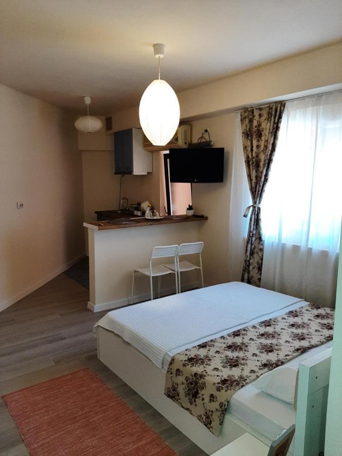 Hotel Casa Flamingo Craiova Exteriér fotografie
